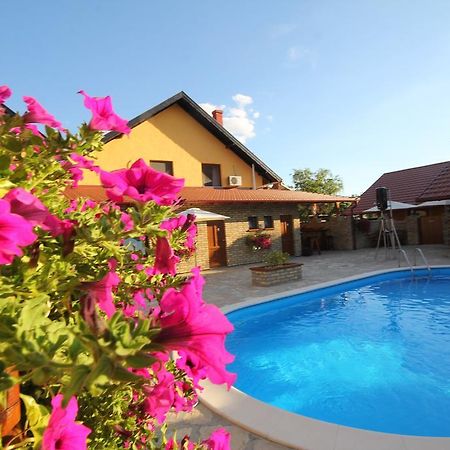 Guest House Vila Alexandar Palic Exterior photo