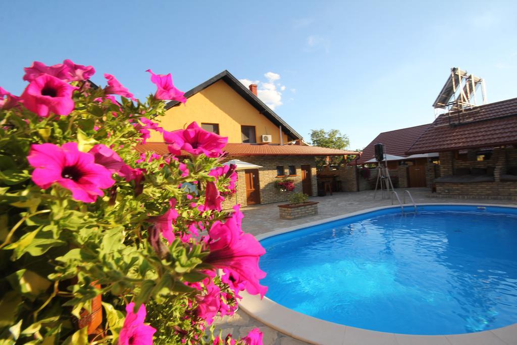 Guest House Vila Alexandar Palic Exterior photo